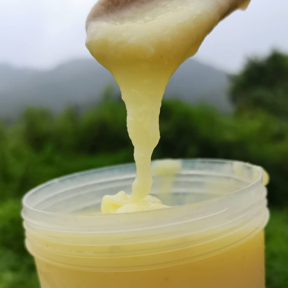 深山天然新鲜蜂皇浆 长寿村的自然恩赐与健康密码