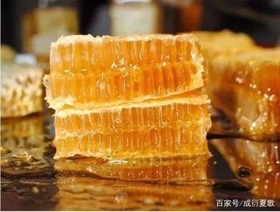 蜂农合作社为何让蜂王浆更纯更可信